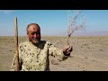 مستند کاشت درخت در روستای ابراهیمی از توابع خواف در استان خراسان