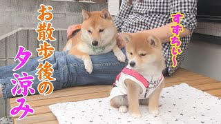 Attack an older girl and enjoy the summer in Miyazaki♪ - YouTube