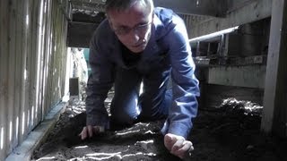 Celebrity Rat Wall Net Worth