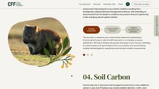 Spark Interact Web Design, Development and Digital Marketing