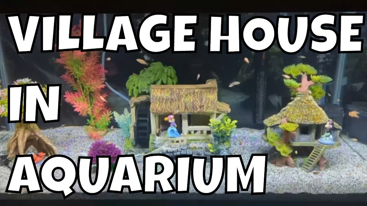 Aquarium Village Houses A Unique and Creative Idea! YouTube