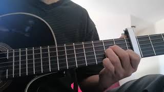 Video thumbnail of "Les luthiers - Perdónala cover"
