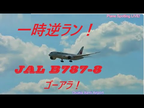 生中継!伊丹空港!! Plane Spotting Osaka Itami Airport 07/28/2025