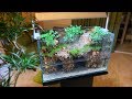 Making a forest with a waterfall