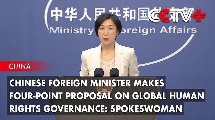 Chinese Foreign Minister Makes Four-point Proposal on Global Human Rights Governance: Spokeswoman - DayDayNews