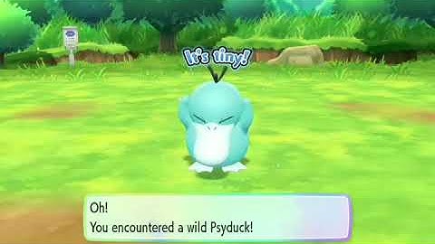 Shiny Psyduck hunt in Pokémon Let