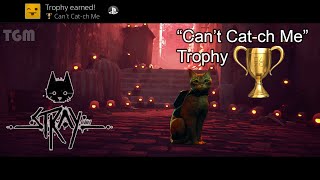 Stray - Can't Cat-ch Me Trophy - Complete the first Zurk pursuit without being caught | PS4 PS5 PC