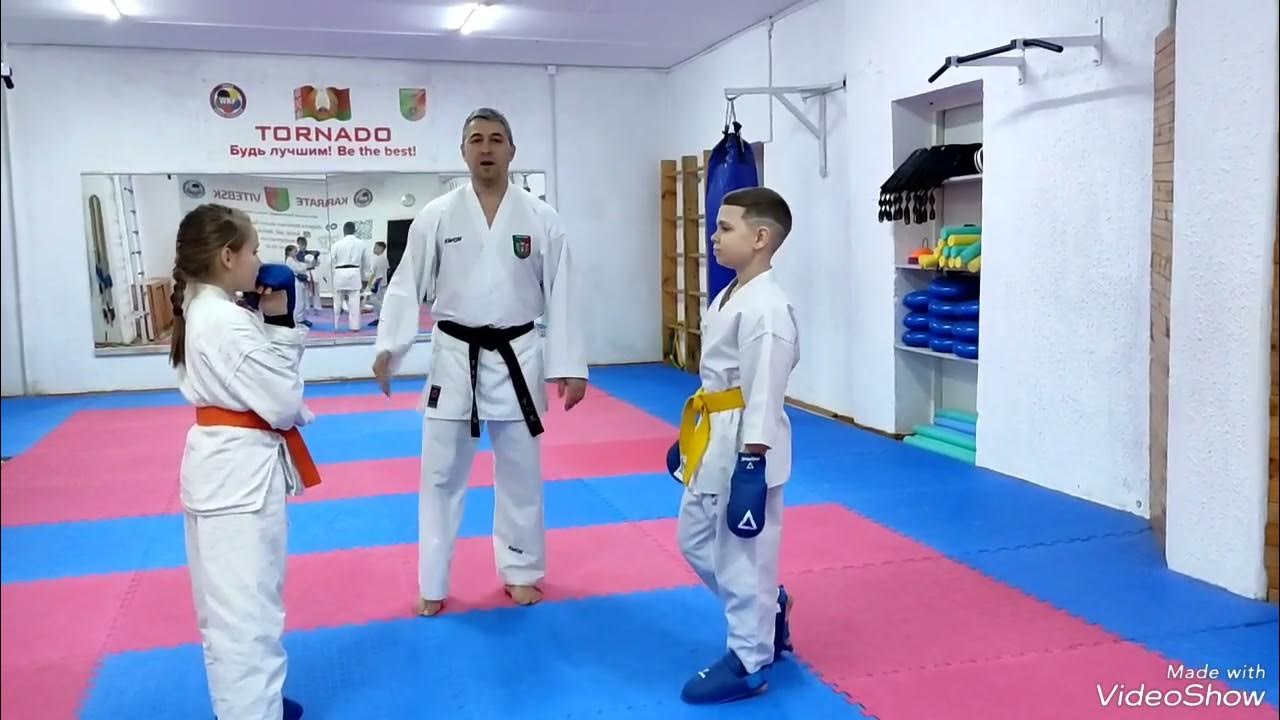 Каратэ Шуто укэ
