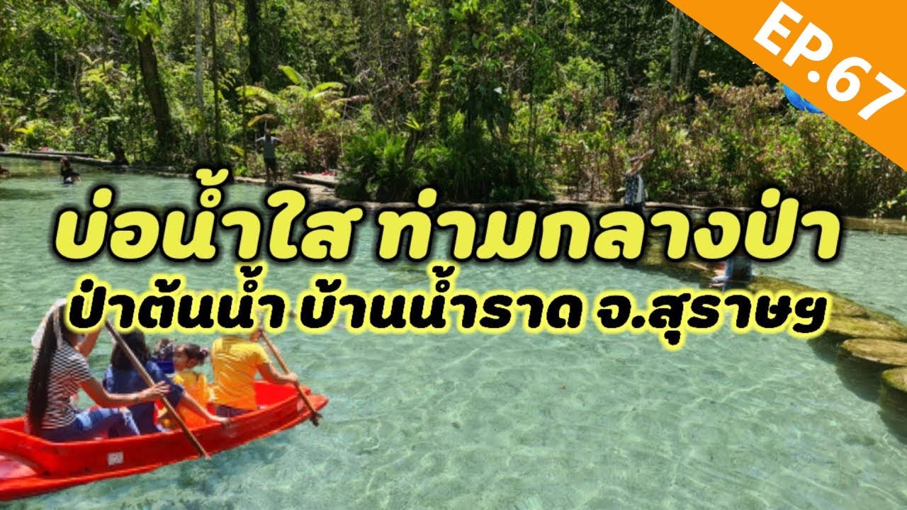บ้านน้ําราด สุราษฎร์ธานี  New Update  ป่าต้นน้ำ บ้านน้ำราด ที่เที่ยวสุราษ​ธานี​ บ่อน้ำใสแจ๋ว ท่ามกลางป่า  Unseen Thailand [MuaMarkรีวิว]