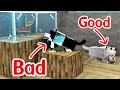 Monster School : BAD DOG vs GOOD DOG - Sad Story - Minecraft Animation