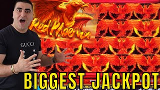 BIGGEST JACKPOT On YouTube For Red Phoenix Slot
