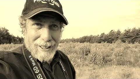 Subway Scene Stuff: This Project Won