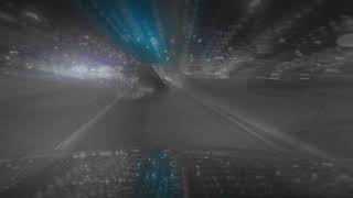 r313 - L [DEMO]