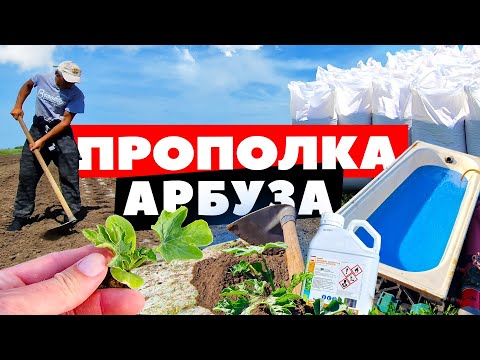 Прополка 🌱🍉🚜 30 05 23