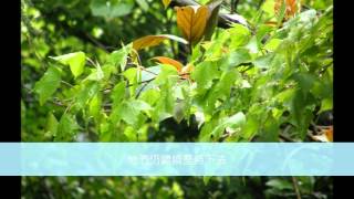 勤益科大-四冷二乙-郭怡麟-我的地方家鄉感:萬里 勤益科大-四冷二乙-郭怡麟-我的地方家鄉感:萬里