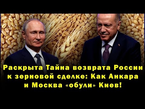 Раскрыта Тайна возврата России к зерновой сделке: Как Анкара и Москва «обули» Киев!