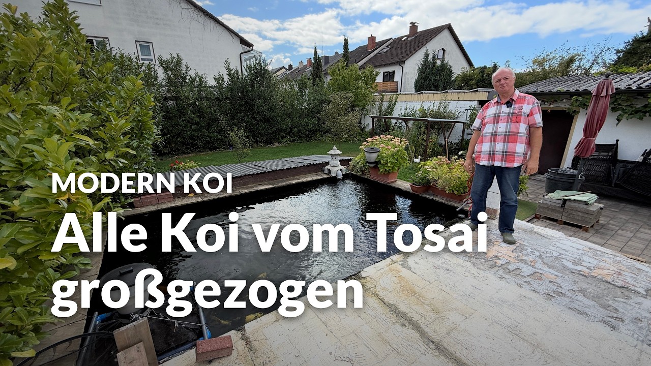 Johans 18.000l Koiteich | Modern Koi Blog #8327