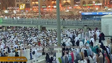 الشيخ بندر بليلة يقرأ خواتيم سورة البقرة بترتيل تحبيري بديع - رمضان 1437هـ