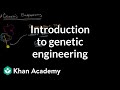 Genetic Engineering: The Evolution of Life Through Human Influence