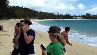 World's Best Beach Slip n' Slide