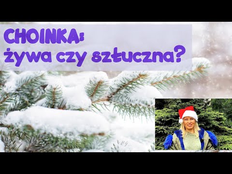 Wideo: Jaką choinkę wybrać dla dziecka: żywą czy sztuczną?