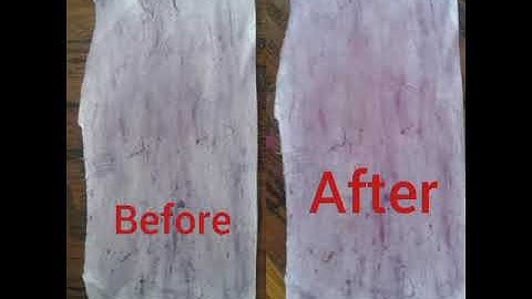 Experiment Class 7 Science Chapter 3 Hibiscus paper👍