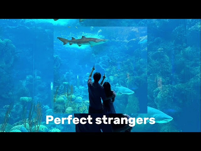 Perfect Strangers - Jonas Blue ft. JP Cooper ( sped up + reverb ) class=