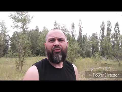 Работа чехии Какие конторы платят? Посредники чехия польша