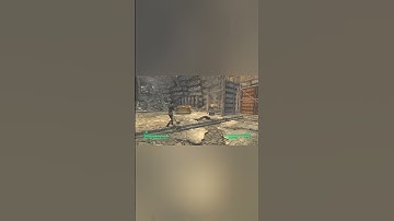 Fallout New Vegas - Shooting in Freeside