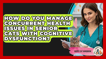 How Do You Manage Concurrent Health Issues In Senior Cats With Cognitive Dysfunction?