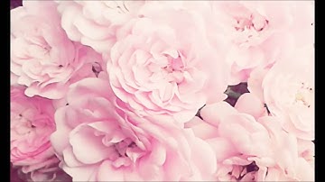 تلاوة خاشعة لسورة النور ماهر المعيقلي