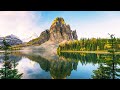 Throw Stress Away with Relaxing Piano Music & Beautiful Nature - Sleep Music & Stress Relief Music