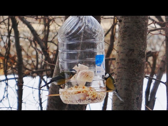 Как сделать кормушку для птиц из пластиковой бутылки