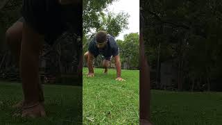 Bear Walk with Kick throughs