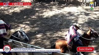 2° serie libre Rodeo Interasociaciones Salamanca 2023 ok