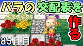 とび森 35 青バラ作り再スタート 高確率なパターンに挑戦 とびだせどうぶつの森 実況 Youtube