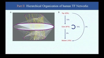 Profiling Cell/Tissue Specific Gene Regulatory Networks