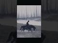 Ghost of Tsushima - Farewell my loyal friend 😔 #ghostoftsushima #gaming #sadgameplay