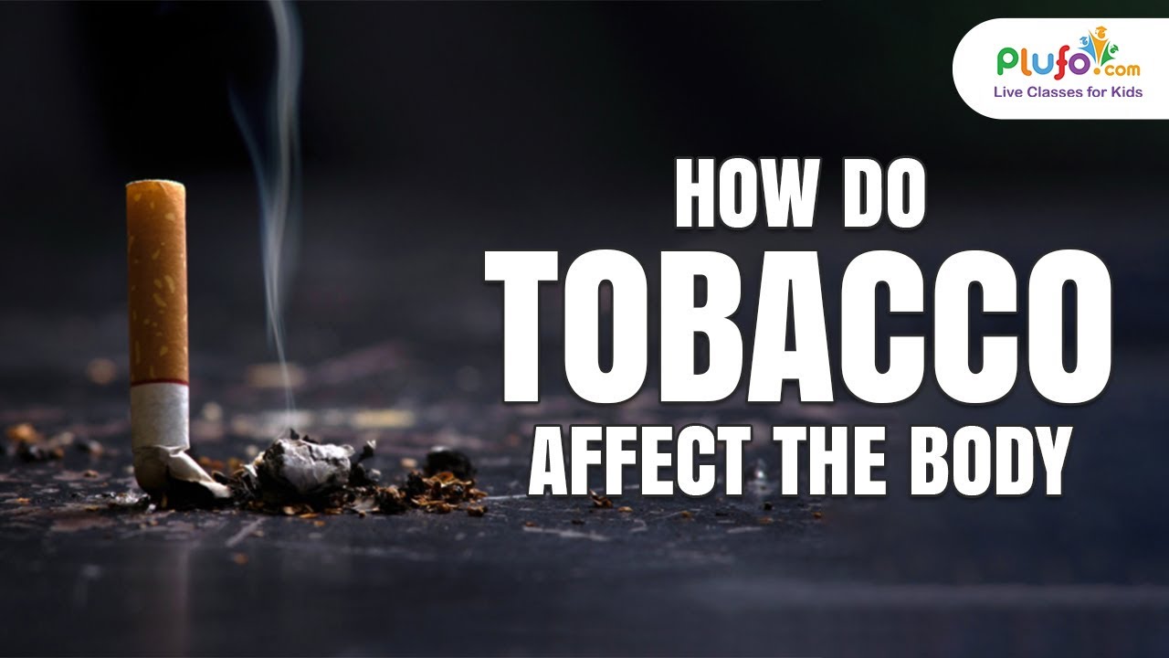 Anti Tobacco Day - 31 May 2022 | Educational Videos for Kids | Always on  Learning