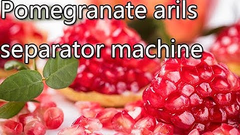 Operation Video Of The High Peeling Rate #Pomegranate #Arils #Separator Machine