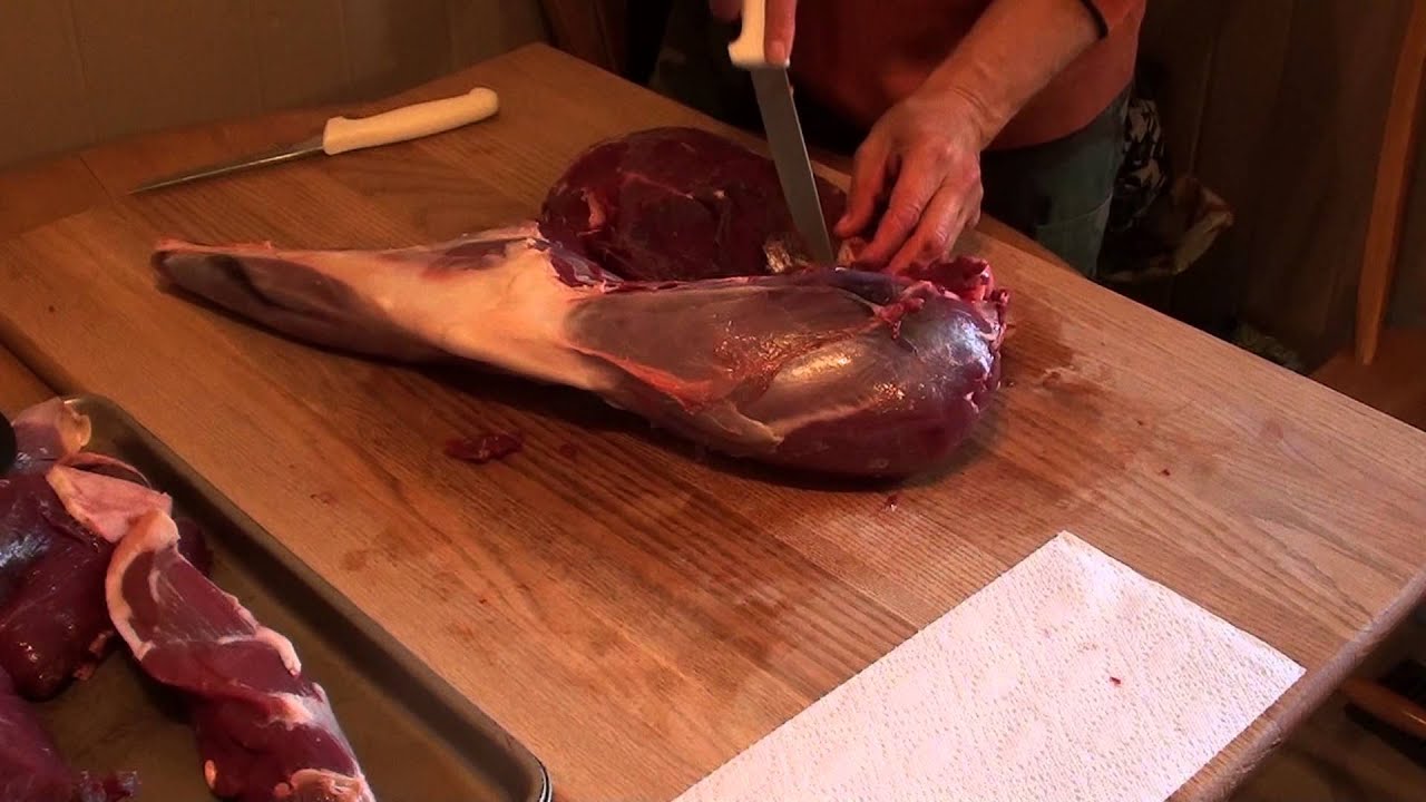 How to butcher whitetail deer quarter hind leg YouTube