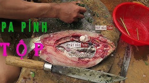 PA PỈNH TỘP | CÁ NƯỚNG MẮC KHÉN | ĐẶC SẢN NGƯỜI THÁI TÂY BẮC