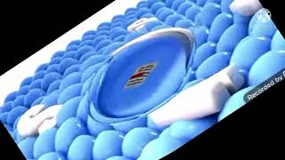 Samsung Logo Balls Super Duper Low Pitched In 1000 Flutes