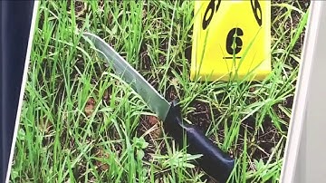 911 calls released in police shooting