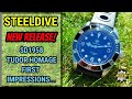 Steeldive latest release. The SD1958 First impressions.