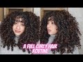 FULL CURLY HAIR ROUTINE (Clarifying, olaplex, deep conditioning, hard hold) thick low porosity curls