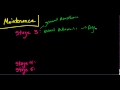 The Stages of Anesthesia: The Basics (Guedel's Classificaiton)