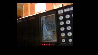 Salmon Run Ham Radio Live Stream