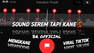 SOUND SEREM TAPI KANE PARAH 💃 || VIRAL TIKTOK 🙀 || STORY WA 30 DETIK BEAT VN✨