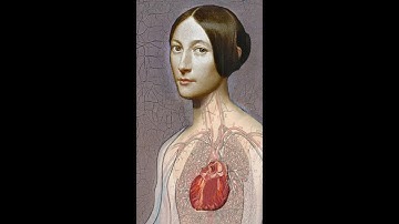 My Little Bird Artivive Animation